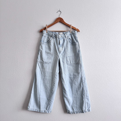 Free People Piper Railroad Stripe Wide Leg Cropped Jeans (30W)