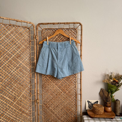 Pleated Chambray Shorts (S/26W)