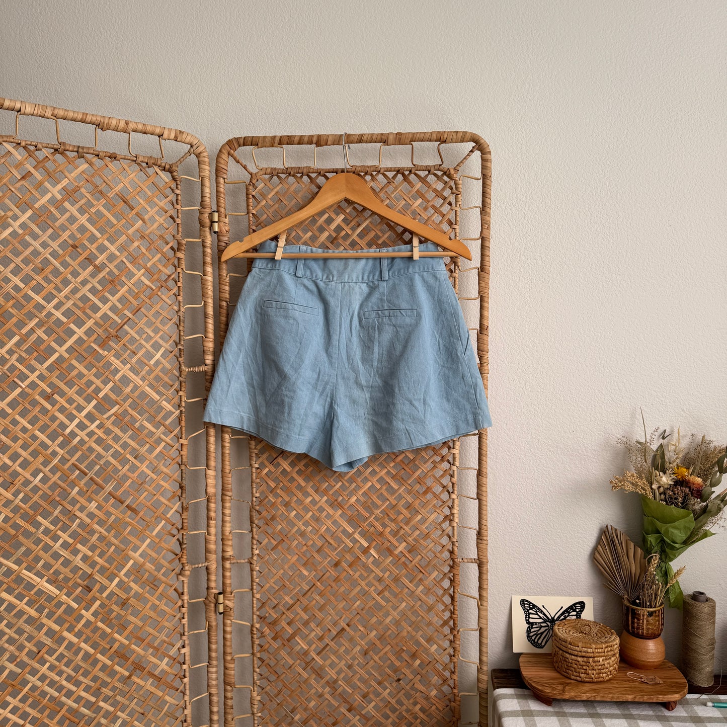 Pleated Chambray Shorts (S/26W)