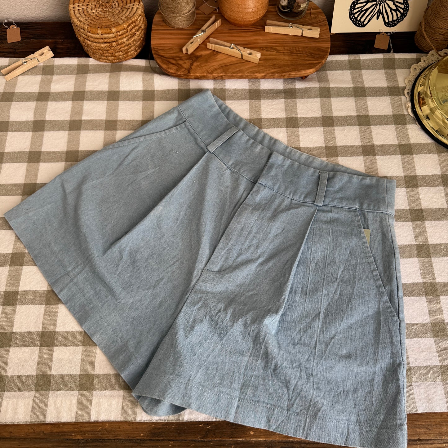 Pleated Chambray Shorts (S/26W)