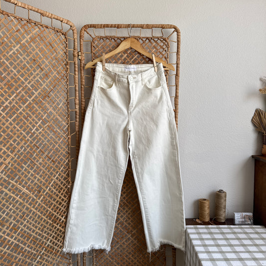 Risen High-Rise Wide Leg Jeans (26W)